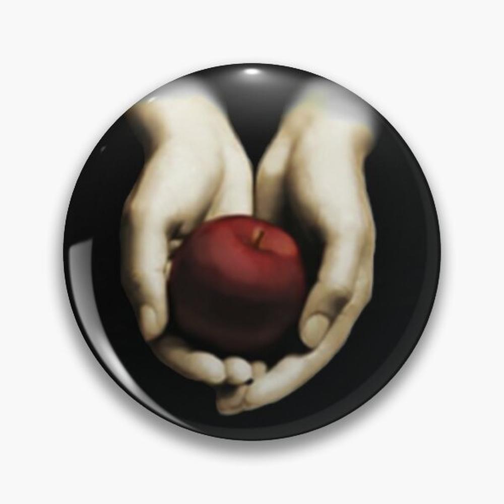 Jewelry Making Journal - Twilight book cover Pin Buttons spille